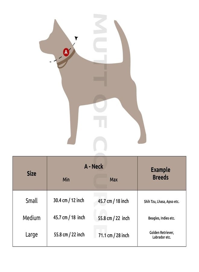 Mutt of Course طوق مارتينجال ملكي هندي من Mutt of Course (صغير) - Image 5